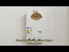 Digitalnie regulowana temperatura gazu wydechowego podgrzewacz wody wysokiej wydajności 12L - 24L